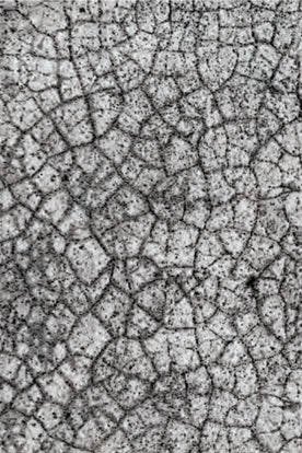 Lynx Rug – Gunpowder