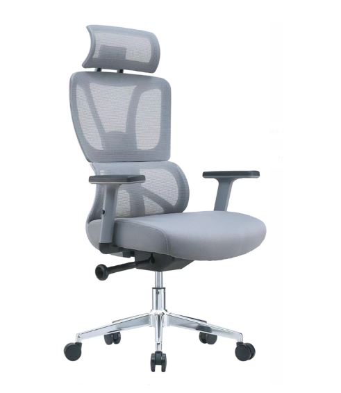 Alodius Office Chair With Headrest