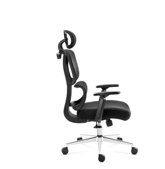 Alodius Office Chair With Headrest