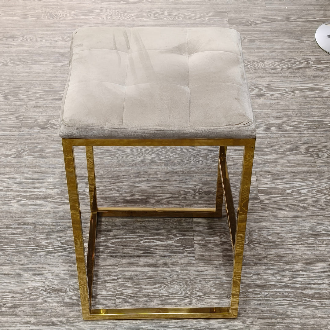 CLS 009