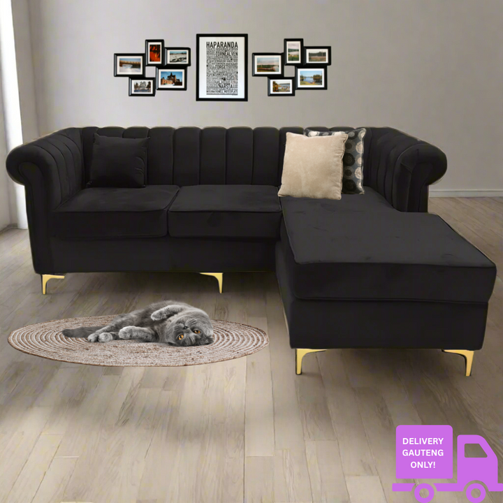 Latina Universal Stripe Couch