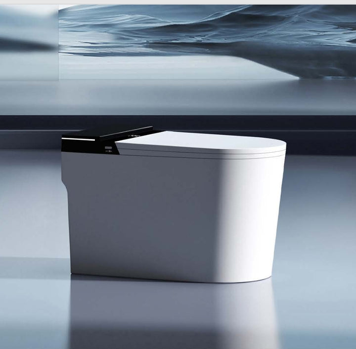 Maverick Smart Intelligent Toilet – Plasma Sterilization