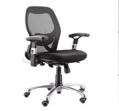 Selvina Low Back Office Chair